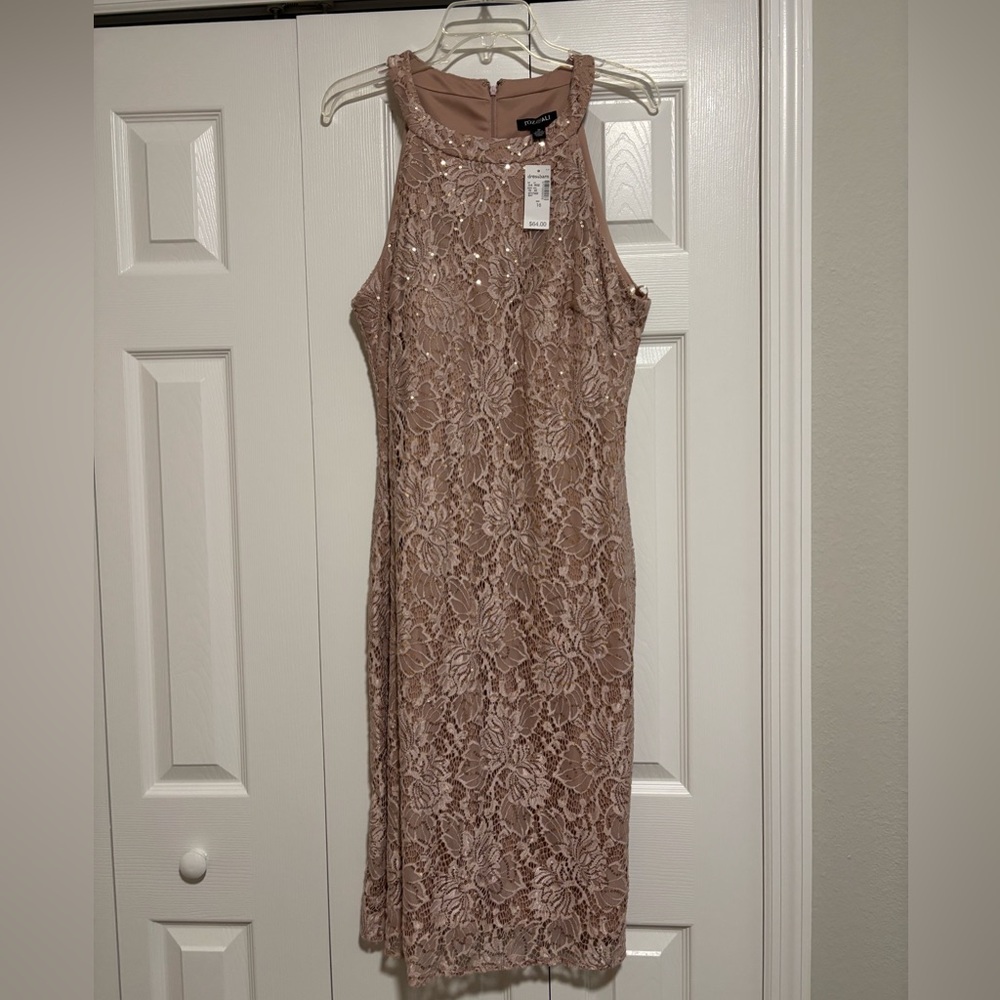 Roz & Ali Blush Lace Dress with Sequins